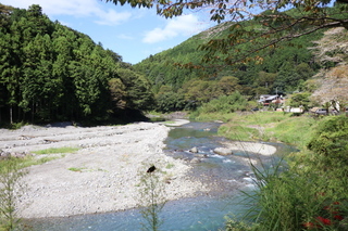 御岳渓谷のアケボノソウ マッツーパパの気ままな休日